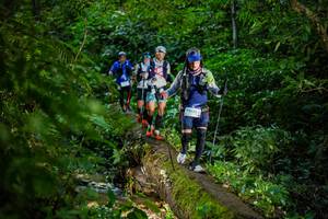 BIB: 1960
                            <button type="button" onclick="openModal(18923271)" class="btn btn-primary btn-sm float-right btn-popup" data-toggle="modal" data-target=".modal-high-quality">
                        <i class="fas fa-shopping-cart"></i> Add to Cart
                    </button>
                                            <button type="button" onclick="isThisMe(18923271, true)" class="btn btn-success btn-sm float-right btn-popup btn-isme hidden" data-toggle="tooltip" data-placement="bottom" title="นี่คือรูปของคุณใช่ไหม คลิกที่นี่เพื่อเอาเข้าอัลบั้ม">
                        <i class="fas fa-plus"></i> Add to album
                    </button>
                    <button type="button" onclick="isThisMe(18923271, false)" class="btn btn-warning btn-sm float-right btn-popup btn-isnotme hidden">
                        <i class="fas fa-ban"></i> Remove from album
                    </button>